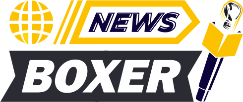 NewsBoxer logo